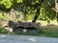 /album/poutni-zajezd-do-armenie-farnosti-celadna-a-ostravice-vi-2026/img-2232-jpg/